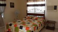 Rays Bed And Breakfast Hostel 킹스톤 외부 사진