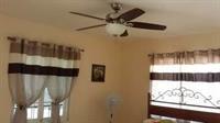 Rays Bed And Breakfast Hostel 킹스톤 외부 사진